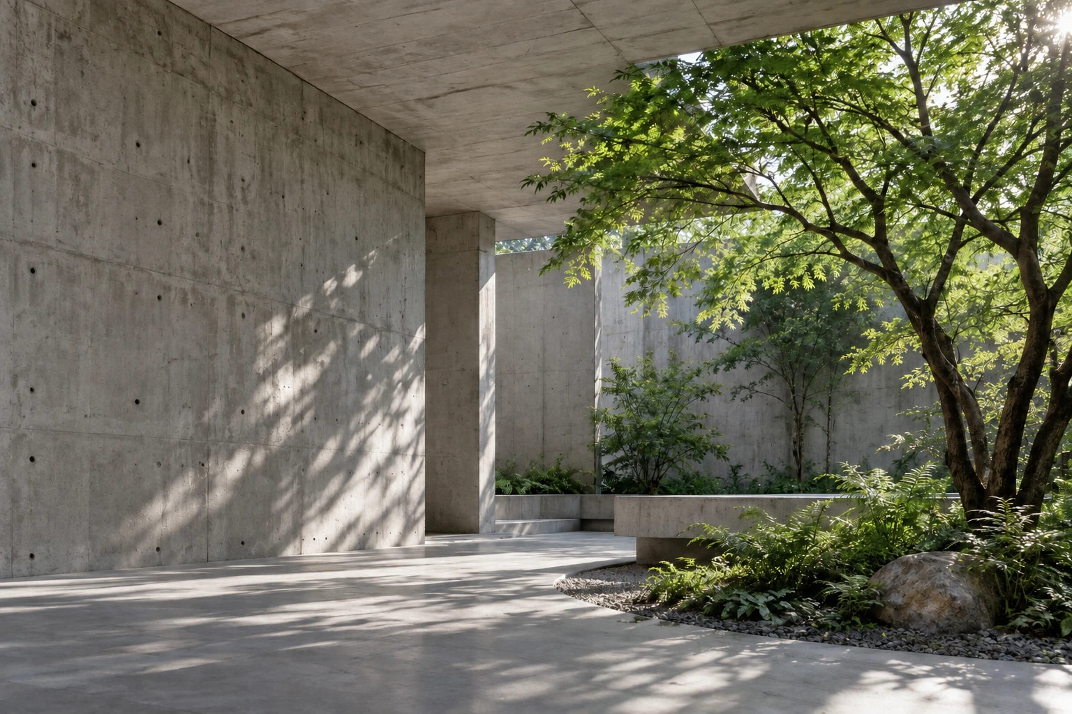 Sunlight falls across a concrete courtyard and a leafy tree.